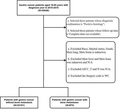 Two web-based dynamic prediction models for the diagnosis and prognosis of gastric cancer with bone metastases: evidence from the SEER database